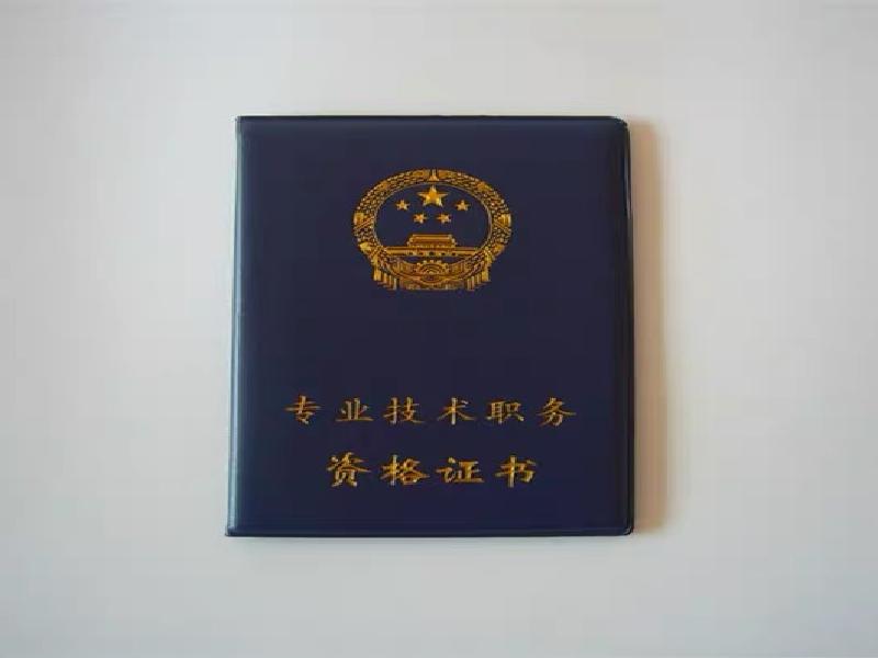 证件照片拍摄与排版的注意事项