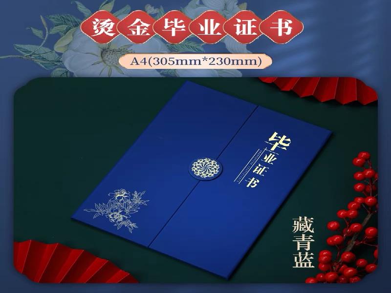 证件遗失补办替代